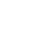 Zelis Hair Logo